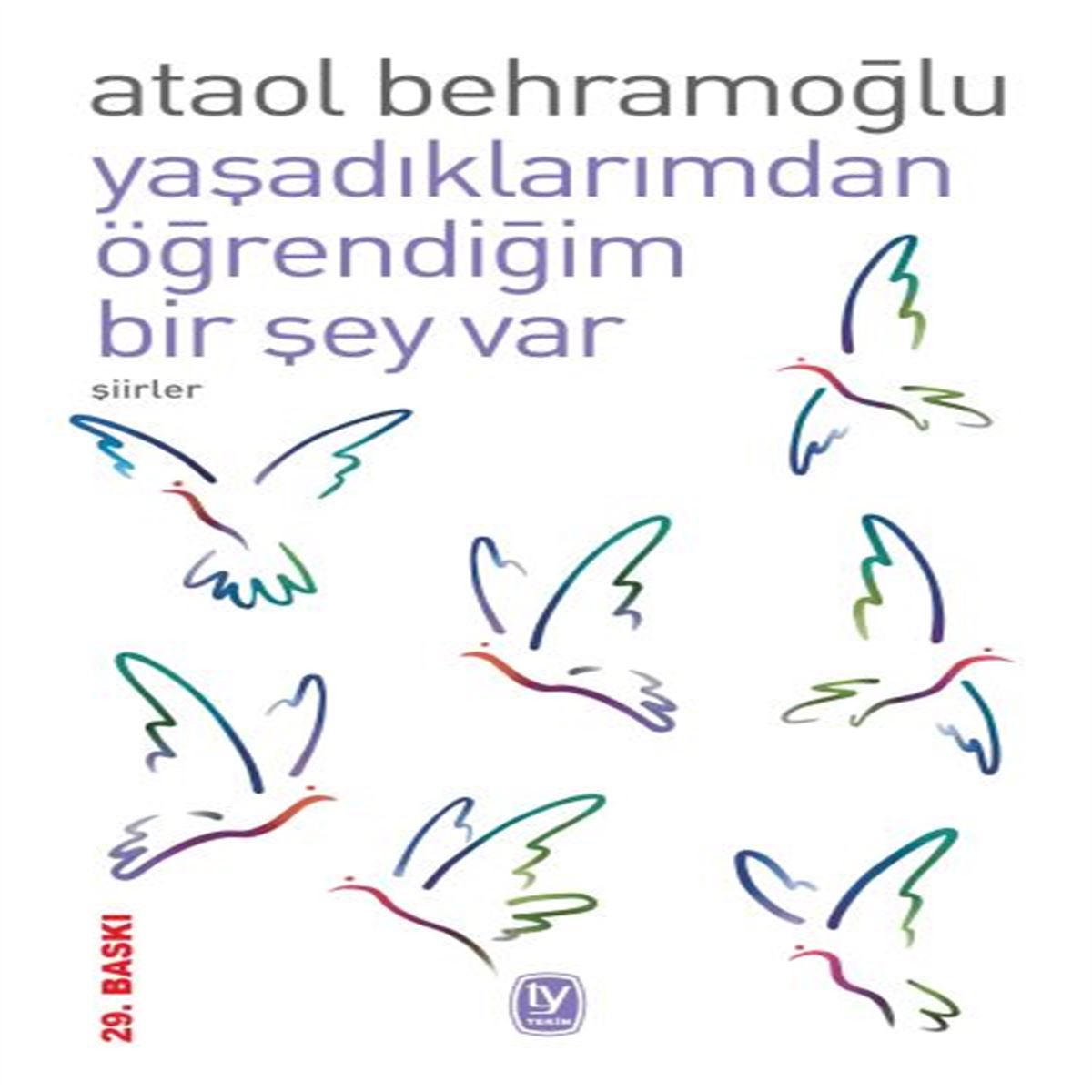 TEKİN ŞİİR KİTABI YAŞADIKLARIMDAN ÖĞRENDİĞİM BİR ŞEY VAR 1