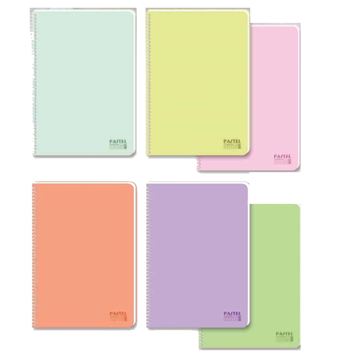 KESKİN DEFTER 327642-99 PASTEL SUBJECT SPİRALLİ PLASTİK KAPAK A4 100/4 6 LI 1
