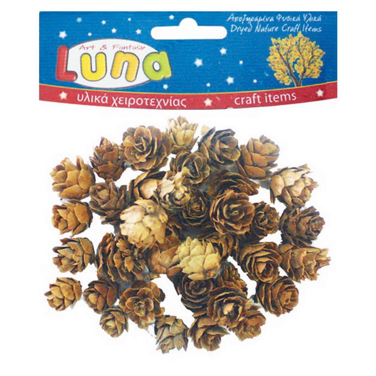 LUNA SÜS 620172 DOĞAL ÇAM KOZALAKLARI 20 GR. 1