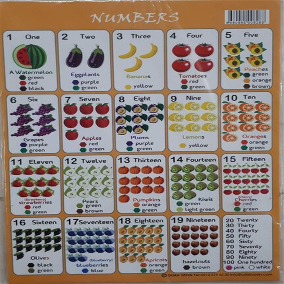 ODAK TABLO 08288 İNGİLİZCE SAYILAR A4 10 LU 1