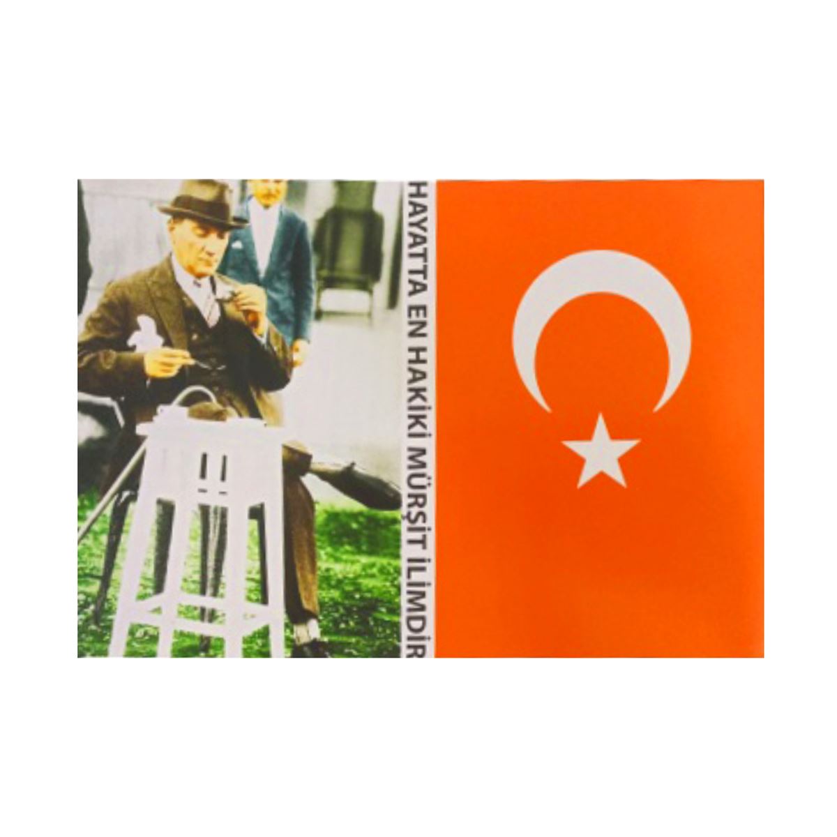 SVN ÇIKARTMA ATA-BAYRAK 12x17 10 LU 1