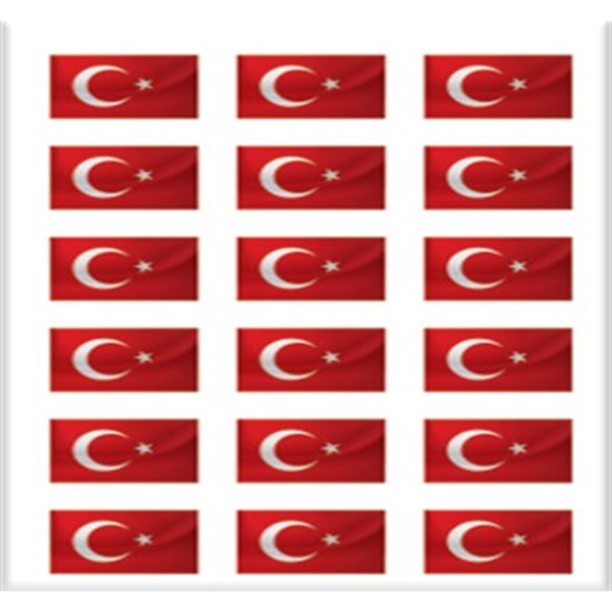 SVN COLOR ÇIKARTMA BAYRAK 11x25 UZUN 20 Lİ 1