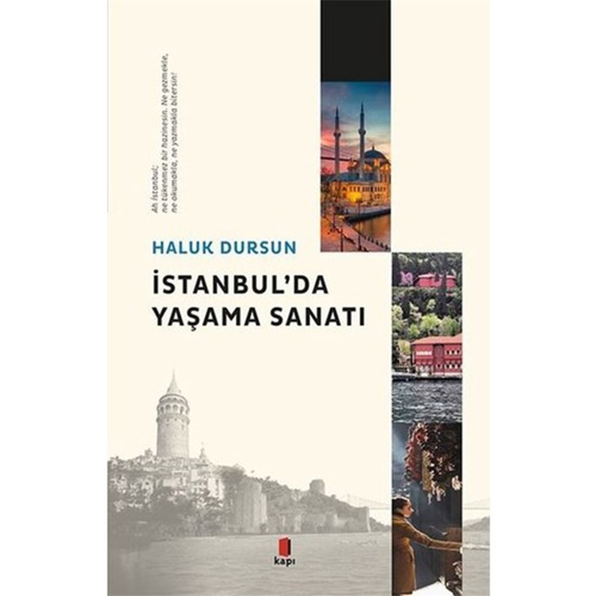 KAPI İNCELEME KİTABI İSTANBULDA YAŞAMA SANATI 1