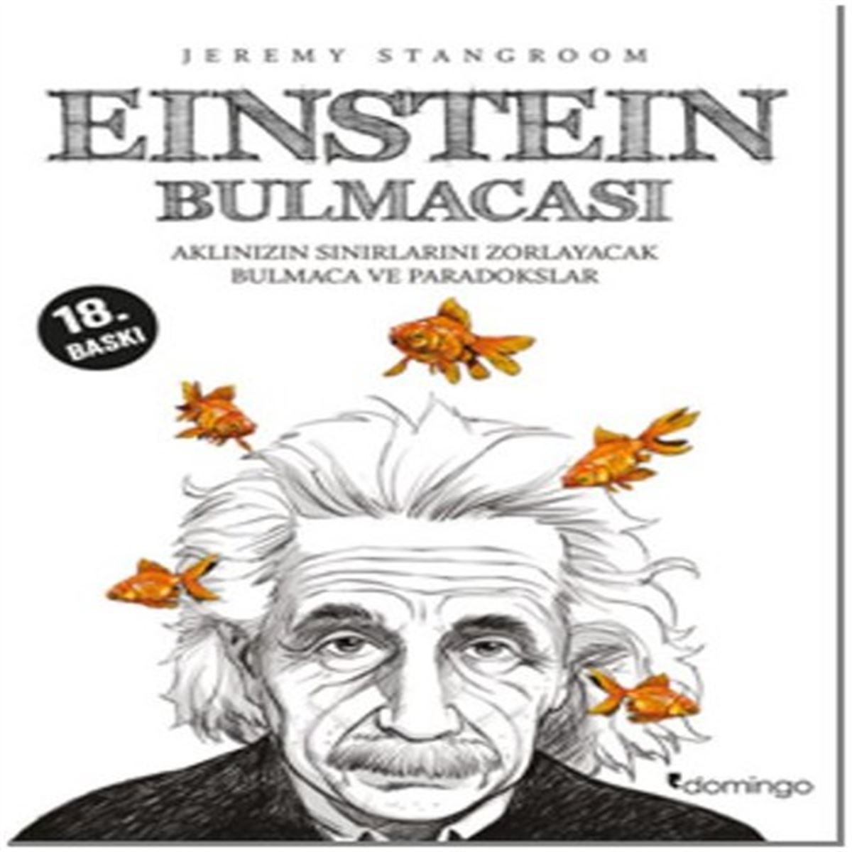DOMİNGO İNCELEME KİTABI EİNSTEİN BULMACASI 1