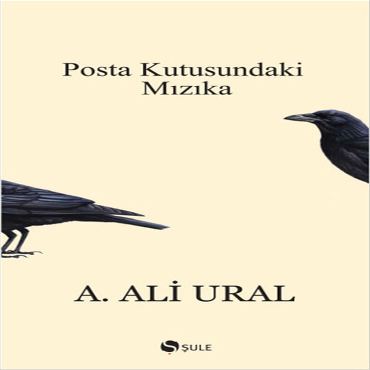 ŞULE POSTA KUTUSUNDAKİ MIZIKA 1