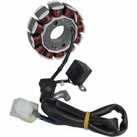 Discover 125 ST Statör Komple 1