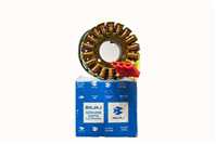 Dominar 250 Statör Komple Orjinal 1