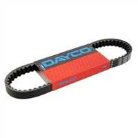 Dayco Grand Dink 250 1