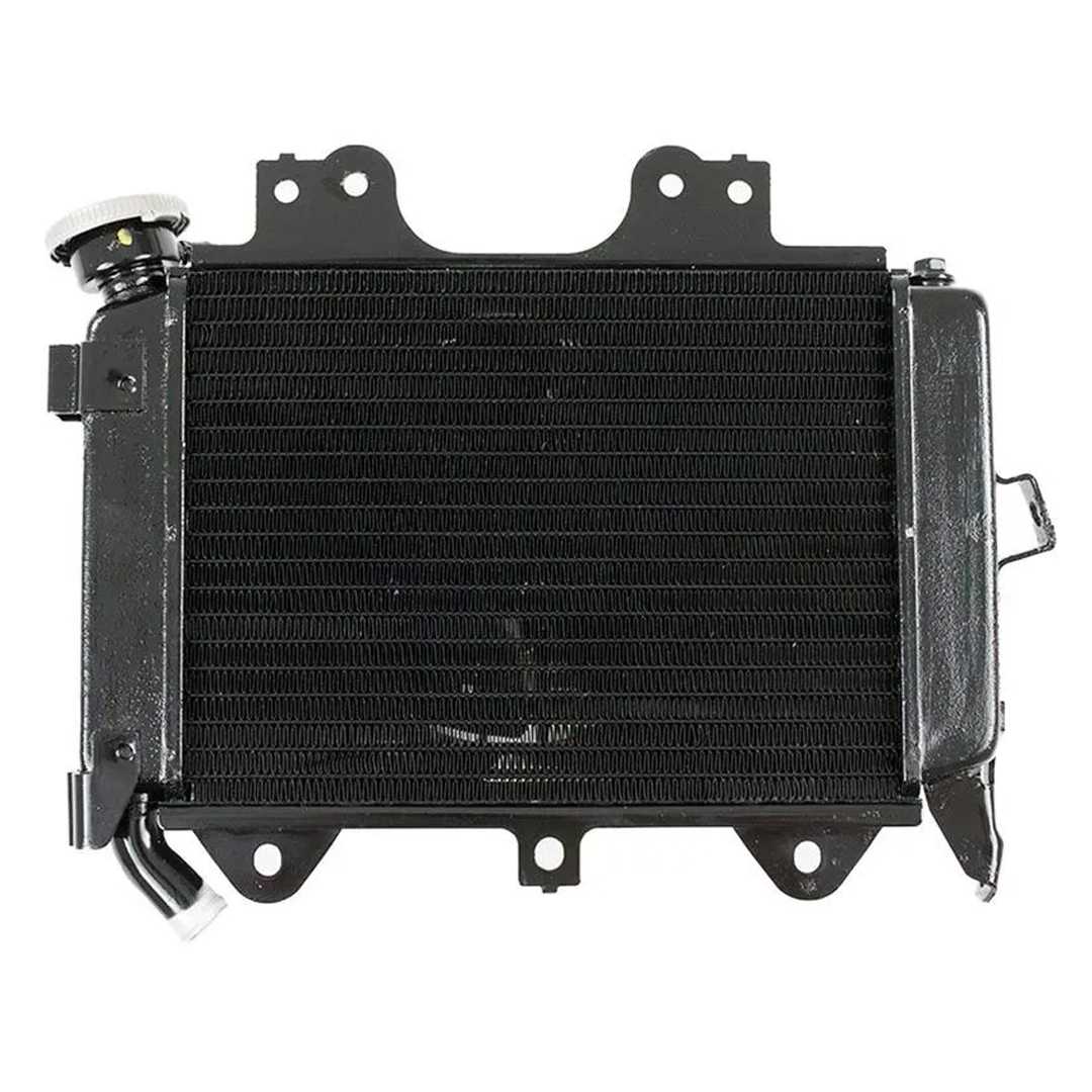 NS 200 Radyatör Orj. 1