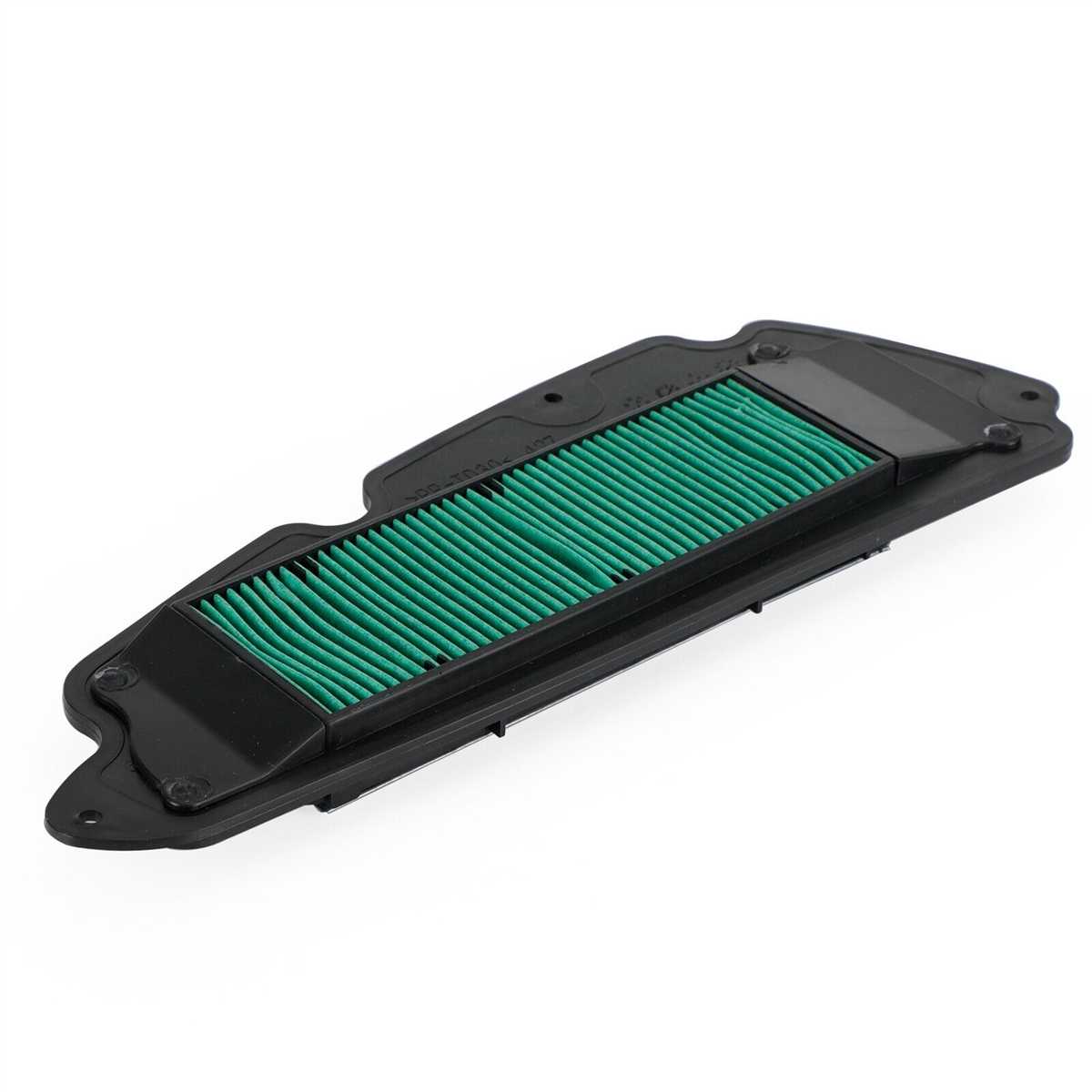 Forza 250 Hava Filtresi 2023 1