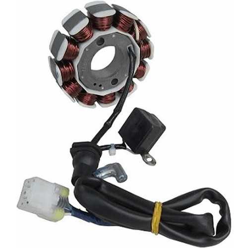 Discover 125 ST Statör Komple 1