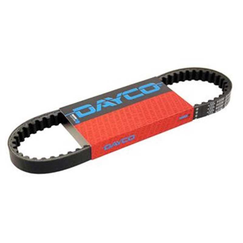 Dayco Grand Dink 250 1