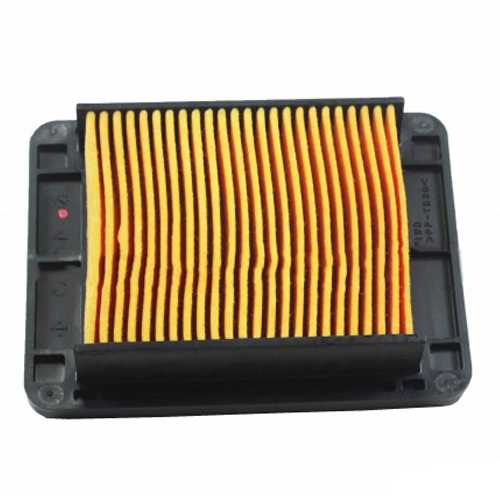 R25 / MT25 Hava Filtresi 1