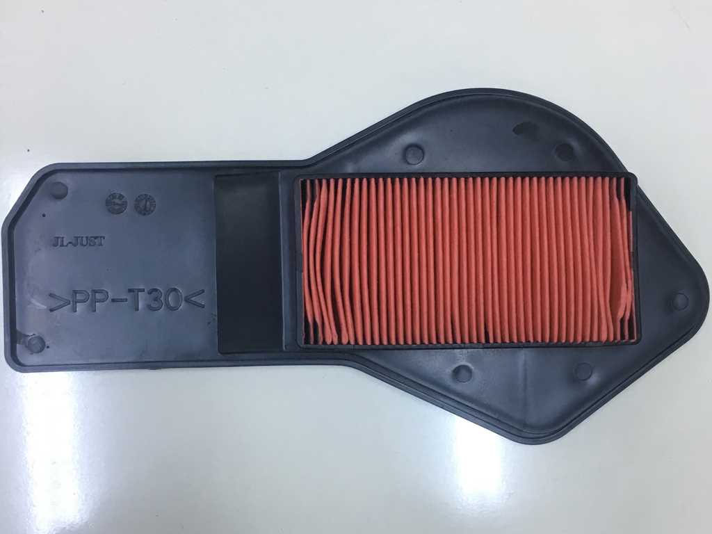 Cygnus RS 125 Hava Filtresi 1