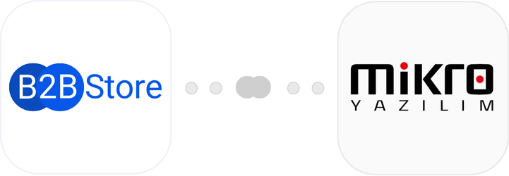 <b>B2B STORE</b> ve <b>Mikro</b> <br> Birlikte Daha Güçlü