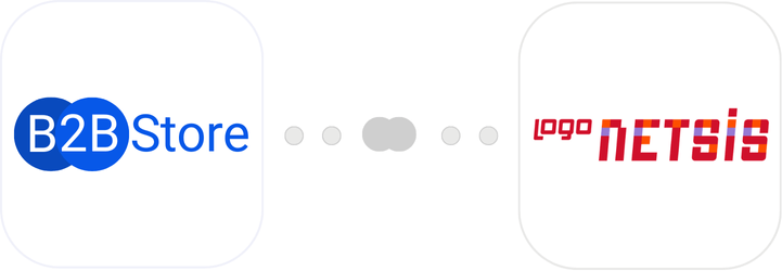 <b>B2B STORE</b> ve <b>Netsis</b> <br> Birlikte Daha Güçlü