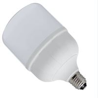 30W 220-240V E27 6500K T100 LED AMPUL 1