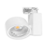 40W BEYAZ 3000K COB LED MONOFAZE RAY ARMATÜRÜ 1