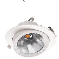 30W BEYAZ 4000K COB LED SALYANGOZ ARMATÜR 1