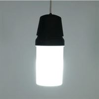 ARIA BAHCE SARKIT ARMATUR E27 PC 1