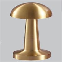 GOLD ŞARJLI MASA LAMBASI 1