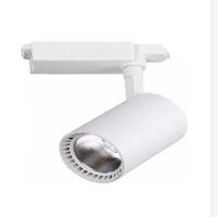 30W PALLAS RAY SPOT BEYAZ KASA 6400K 1