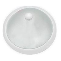 ÇEMBERLİ TAVAN ARMATÜRÜ BEYAZ KASA KUMLAMA CAM 1