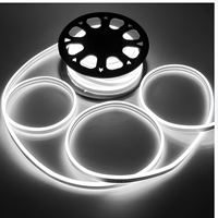 NEON LED HORTUM (BEYAZ) 1