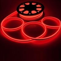 NEON LED HORTUM (KIRMIZI) 1