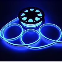 NEON LED HORTUM (MAVİ) 1