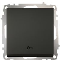 Isikli isimli Zil Anahtari 12V 1