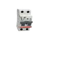 MCB FM6 2P C2 6kA 230/400Vac 5-10In 1