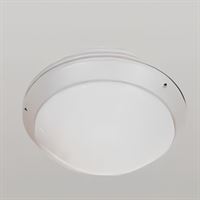 ESENSA 24W 6000K ENEC STD DRV GRİ TAVAN ARM IP65 R 1