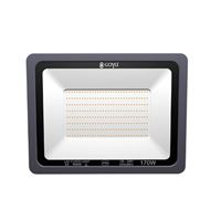 GY 6022-250 ANTRASİT 250W 3000K CC PROJEKTÖR* 1