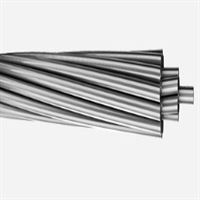 POPPY ALEMİNYUM HAVAİ HAT İLETKENİ(AAC) 1