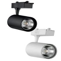 018-028-0030 BASRA-30 30W SİYAH 3000K RAY SPOT 1