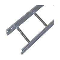 300/100mm Kablo Merdiveni e:1.2mm L:2500mm 1