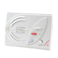 NETELSAN VEGA-IQ KAPICISIZ ŞUBE(SES AYARLI) 1