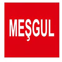 NETELSAN E9129 MEŞGUL (BLAZE,TİJLİ) 1