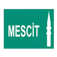 NETELSAN E9127 MESCİT (ESCAPE,CİFT YÜZLÜ,TİJLİ) 1
