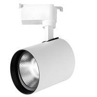 30W SİYAH KASA RAY SPOT GÜN IŞIĞI - PARİS 1