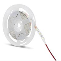 12V 4040 İÇ MEKAN 4000K ŞERİT LED 1