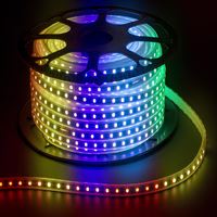 220V 5050  HORTUM LED RGB 1