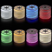 220V  NEON HORTUM LED (8X16 MM) LED MAVİ 1