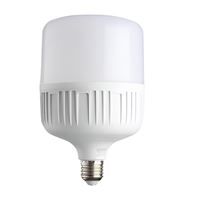 40W LED TORCH AMPUL BEYAZ 1