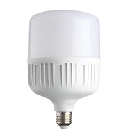 60W LED TORCH AMPUL G.IŞIĞI 1