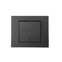 Işıklı Anahtar füme 1