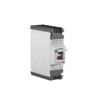 A160 160A 1P 25kA A.G.DEVRE KESİCİ 1