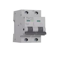 SDC10000 10kA 2P C100 DC OTOMATİK SİGORTA 1