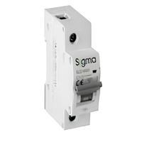 SLD10000 10kA 1P C100 OTOMATİK SİGORTA 1